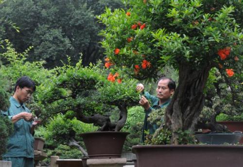 綠化工考試都考哪些內(nèi)容