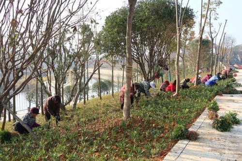 南京市現(xiàn)在綠化工證一定要持證上崗嗎具體考試流程有哪些