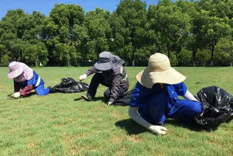 考綠化工在哪里報名
