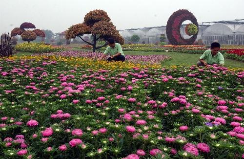 遂寧考花卉工一般需要考幾個科目避免踩雷